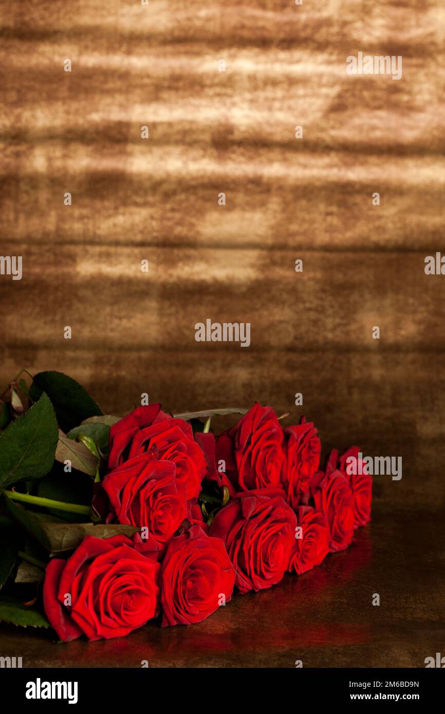 Molte rose rosse in basso DOF Foto Stock