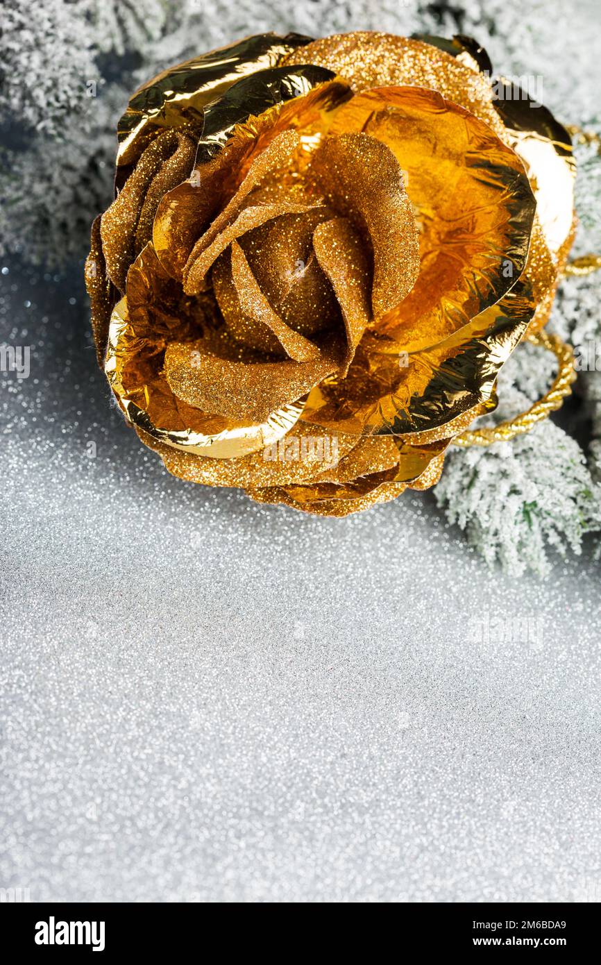 Rosa dorata con sfondo festivo Foto Stock