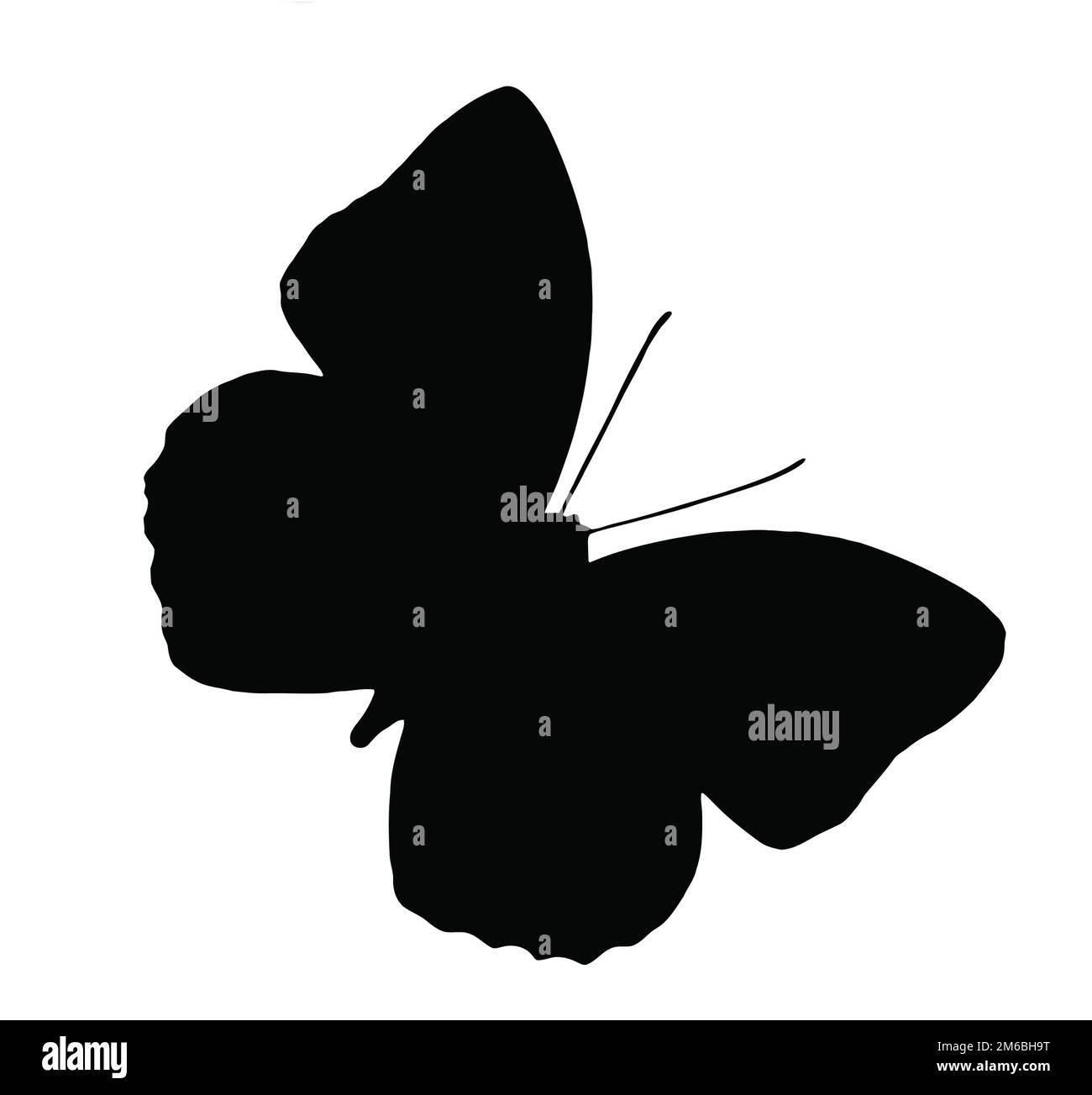 Silhouette di butterfly isolato su bianco Foto Stock