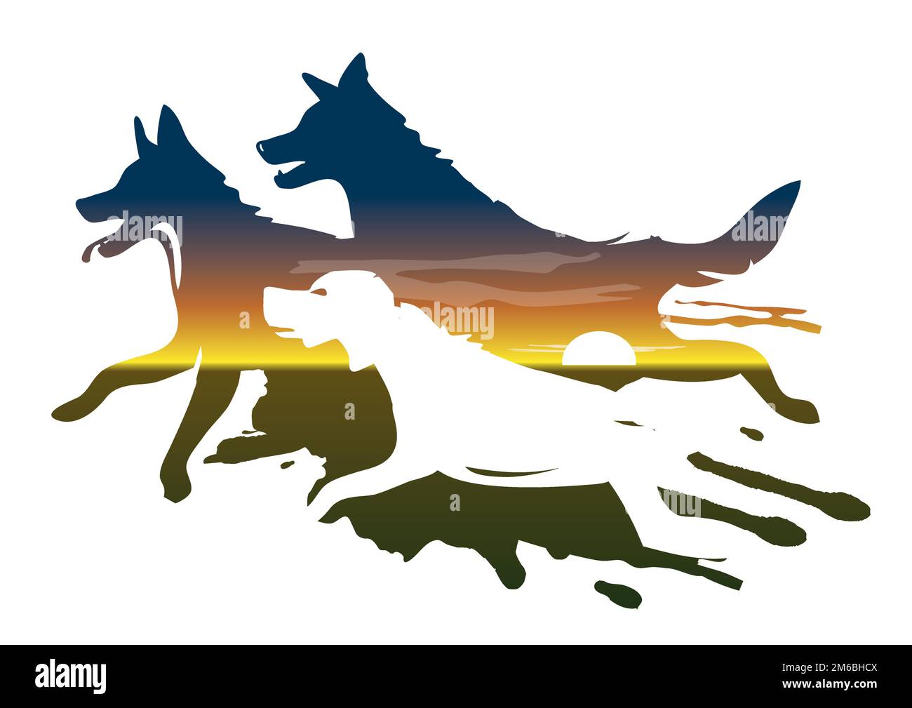Tre cani da corsa, tramonto. Silhouette di cani che corrono sullo sfondo del sole tramontato. Isolato su sfondo bianco. Vettore disponibile. Illustrazione Vettoriale