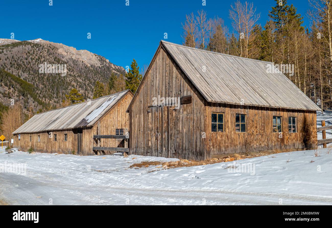 Splendidi fienili in legno alle porte di St. Elmo, una popolare città fantasma del Colorado. Foto Stock