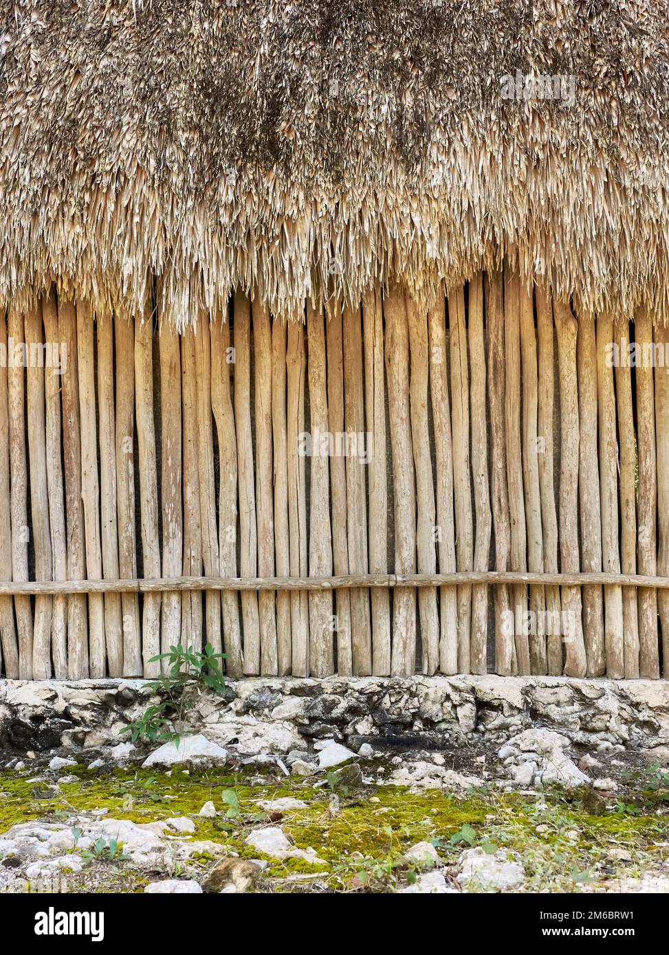 Mexican giungla parete del tetto della casa maya, sfondo naturale. Foto Stock