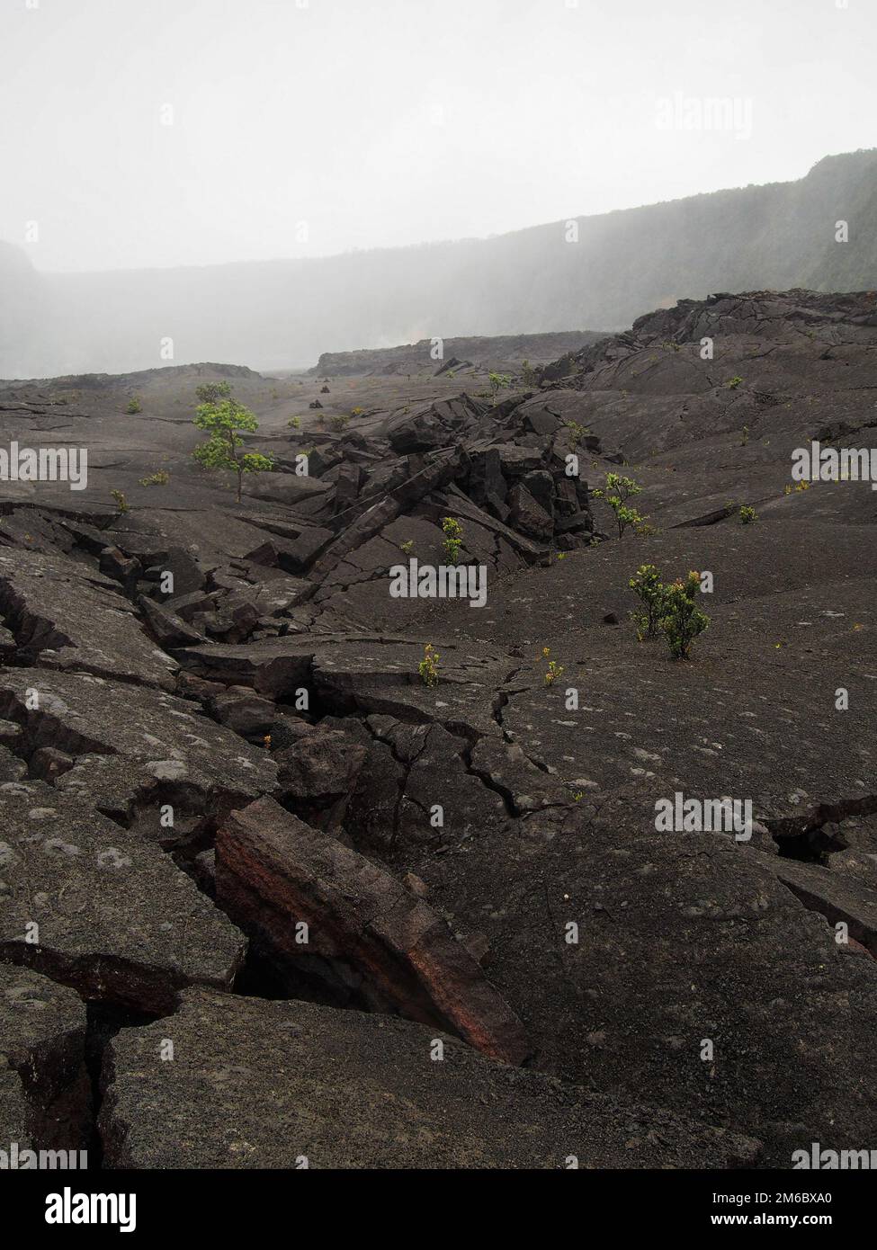 Cracked terreno vulcanico al Parco Nazionale dei Vulcani alle Hawaii Foto Stock