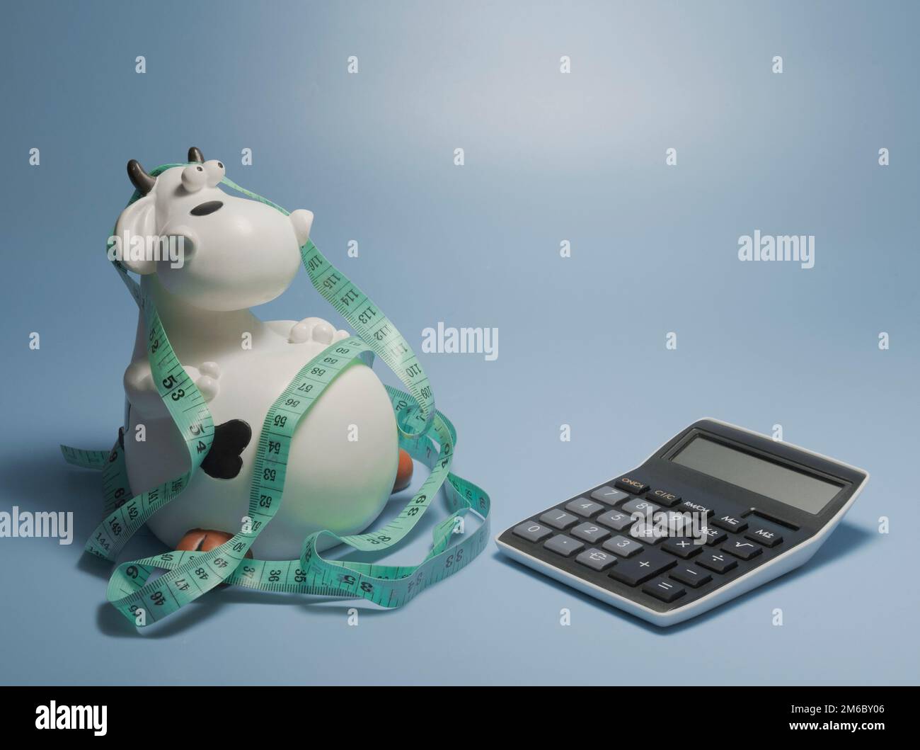 Conteggio delle calorie - composizione divertente con calcolatrice e mucca Foto Stock