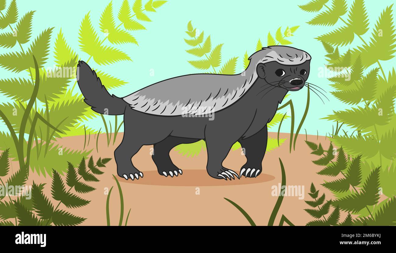 Tasso di miele, in stile cartoon, sullo sfondo di erba e felci, nella foresta. Illustrazione Foto Stock
