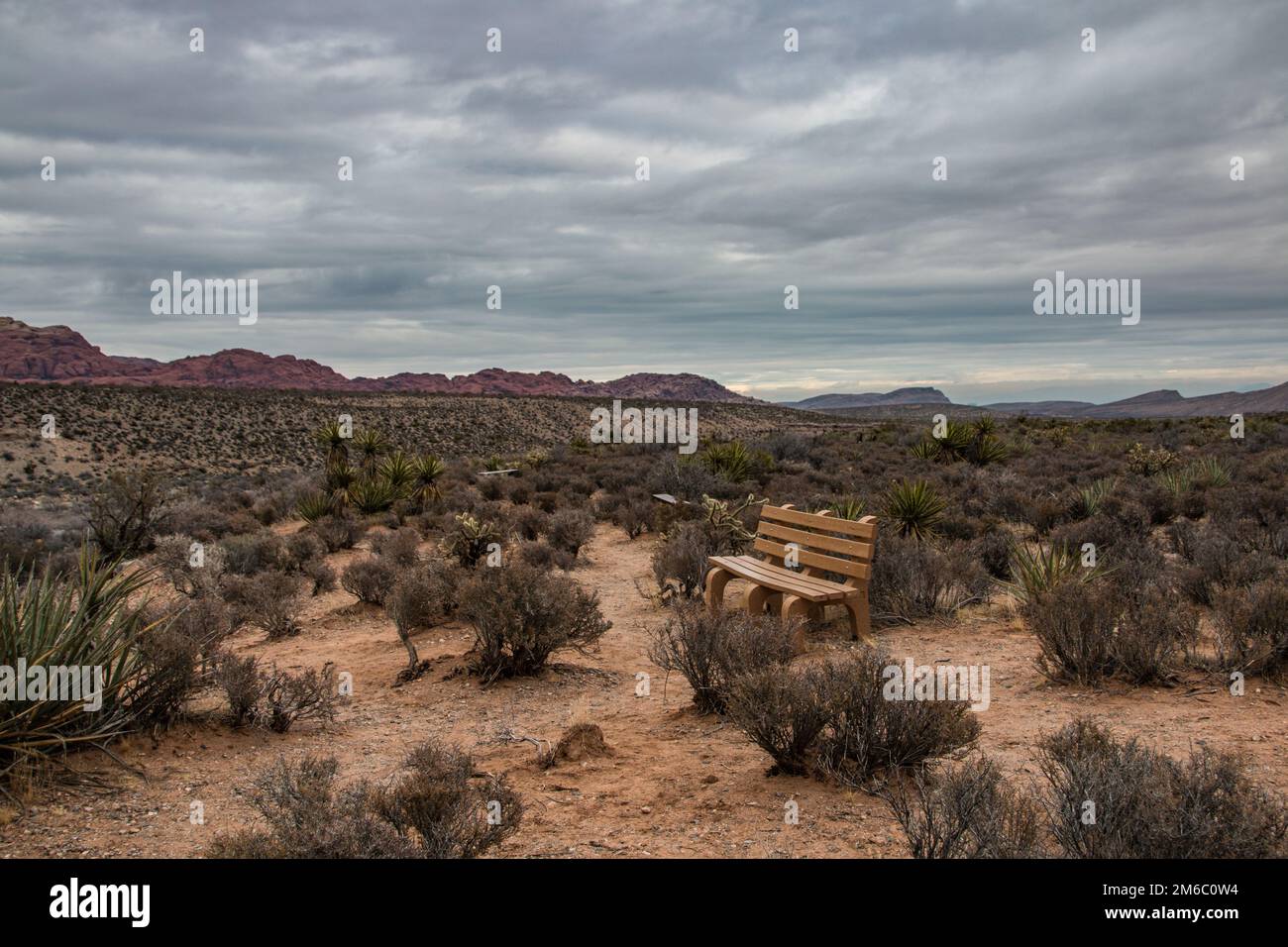 Una panchina solitaria nella Red Rock Canyon National Conservation Area, USA Foto Stock