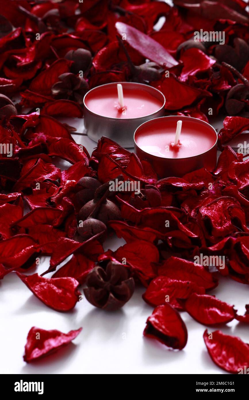 Red petali di rosa e candele su sfondo bianco Foto Stock