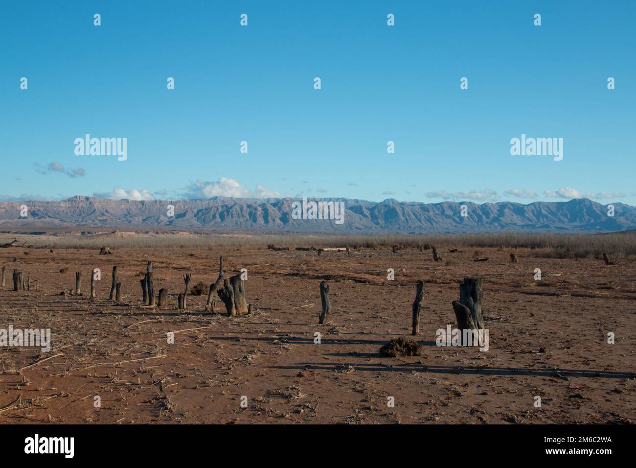 Abbandonata città fantasma St Thomas nella zona ricreativa nazionale del lago Mead, Nevada Foto Stock