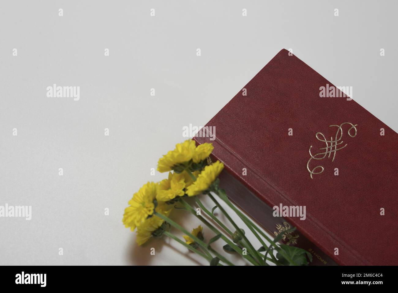 Un vecchio libro e fiori gialli nella composizione senza titolo. Ornamento o monogramma e spazio libero per titolo e testo Foto Stock