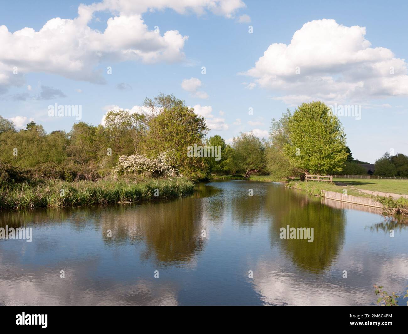 Una bella scena di campagna nel pomeriggio estivo all'aperto su un lago e un fiume con alberi riflessi in esso nel regno unito essex di en Foto Stock
