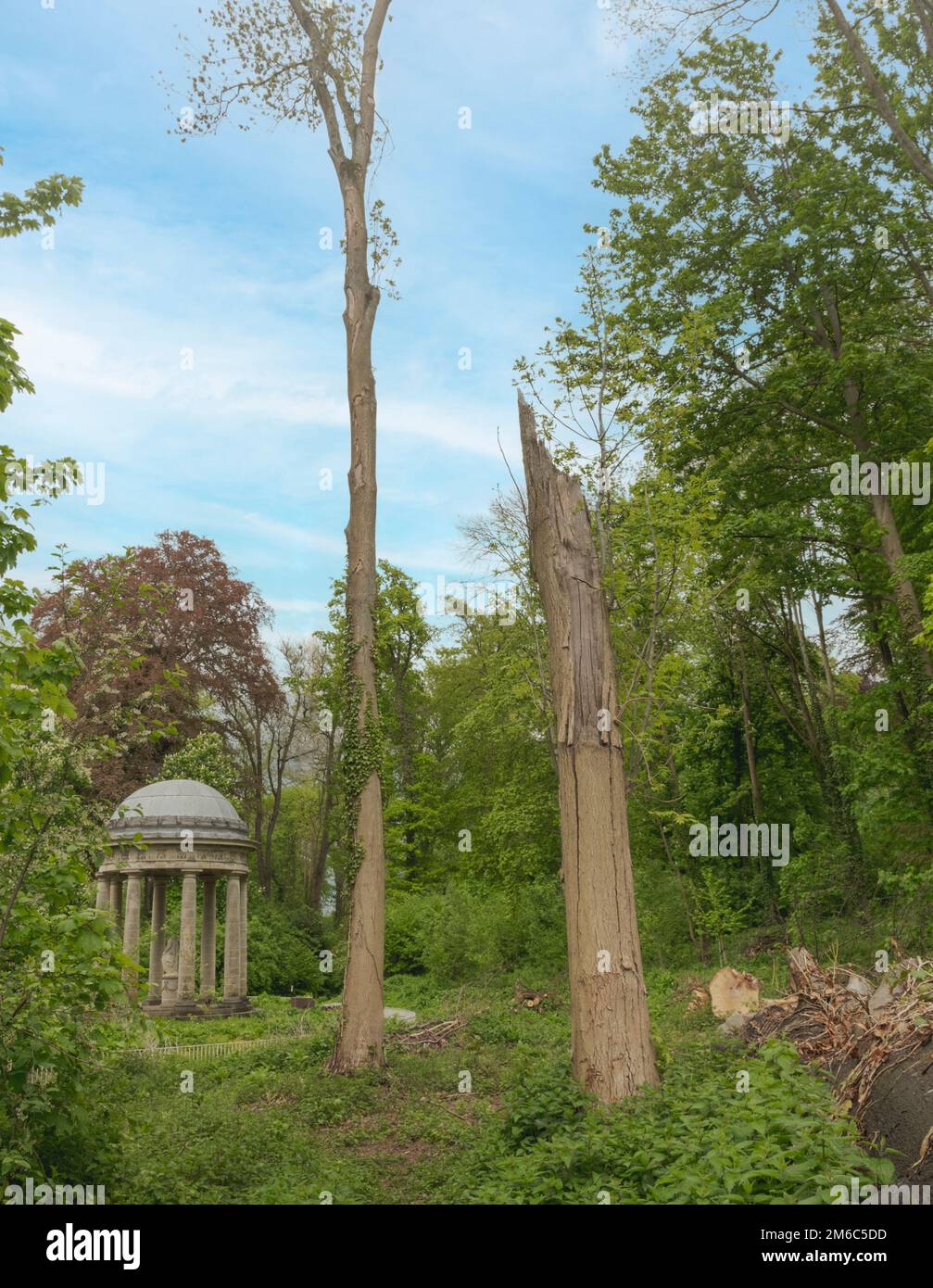 Paesaggio nel parco con un vecchio gazebo antico e alberi antichi Foto Stock