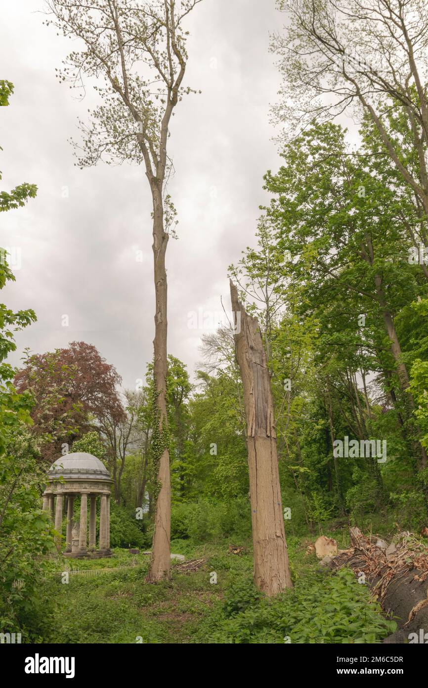 Paesaggio nel parco con un vecchio gazebo antico e alberi antichi naturali Foto Stock