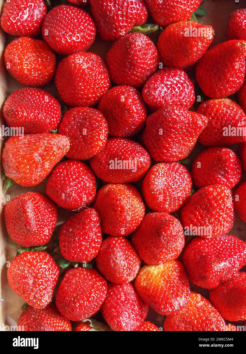 Fragole fresche sfondo Foto Stock