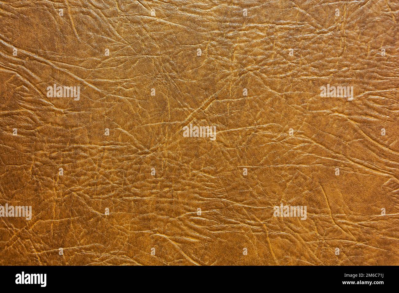 Struttura della pelle marrone sull'immagine di sfondo Foto Stock