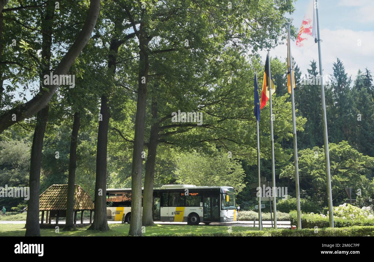 Hasselt, Limburgo, Belgio 16-07-2021. Autobus regolare (De Lijn) che passa attraverso un parco in Belgio, Fiandre Foto Stock