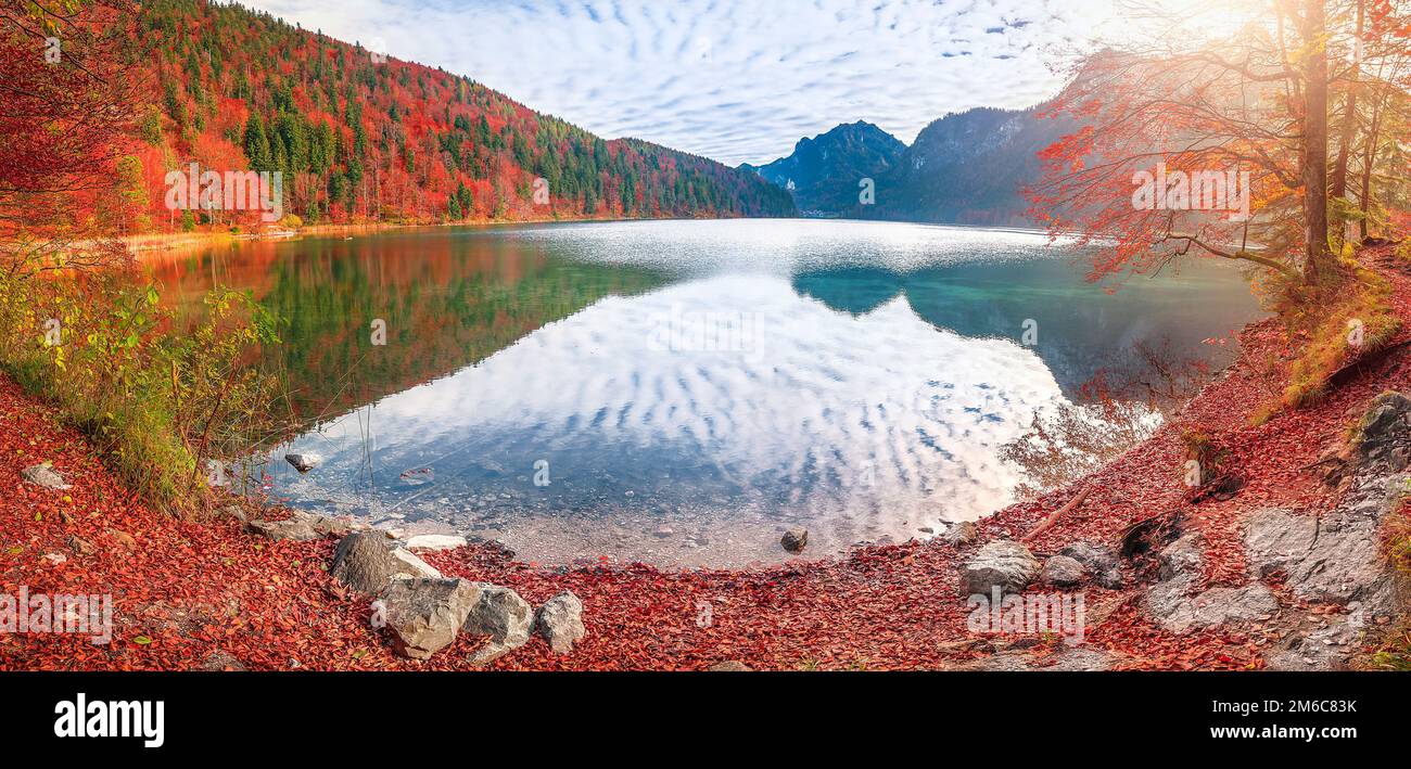 Lago Alpsee in Autunno colori Foto Stock