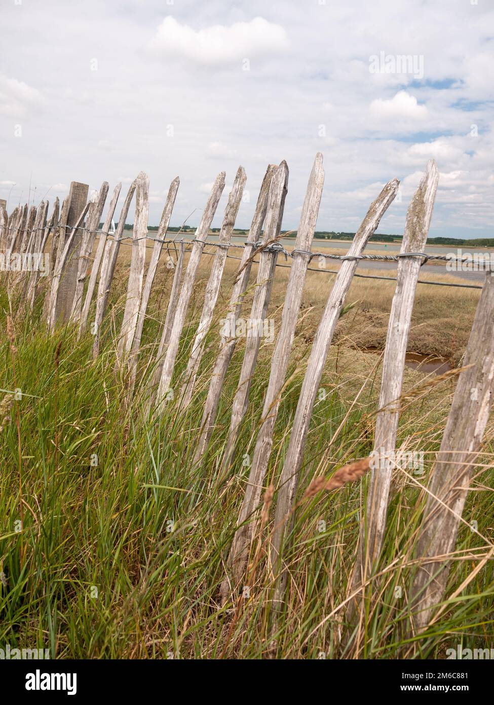 Vecchio recinto di legno fuori linea costiera sentiero a piedi Foto Stock