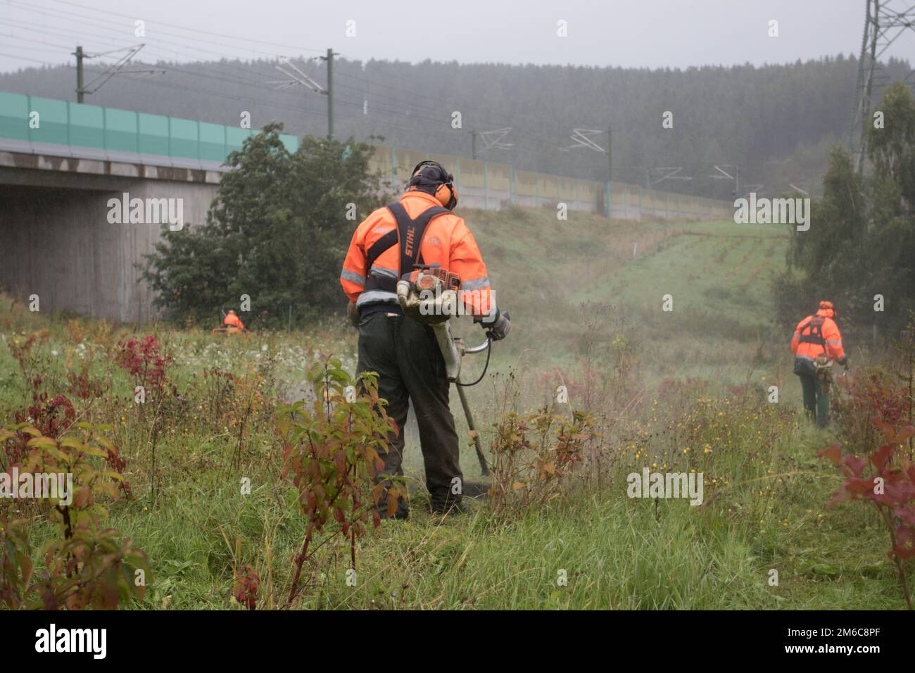 Green Axis Berlino - Norimberga - protezione ambientale alla nuova linea ad alta velocità Foto Stock