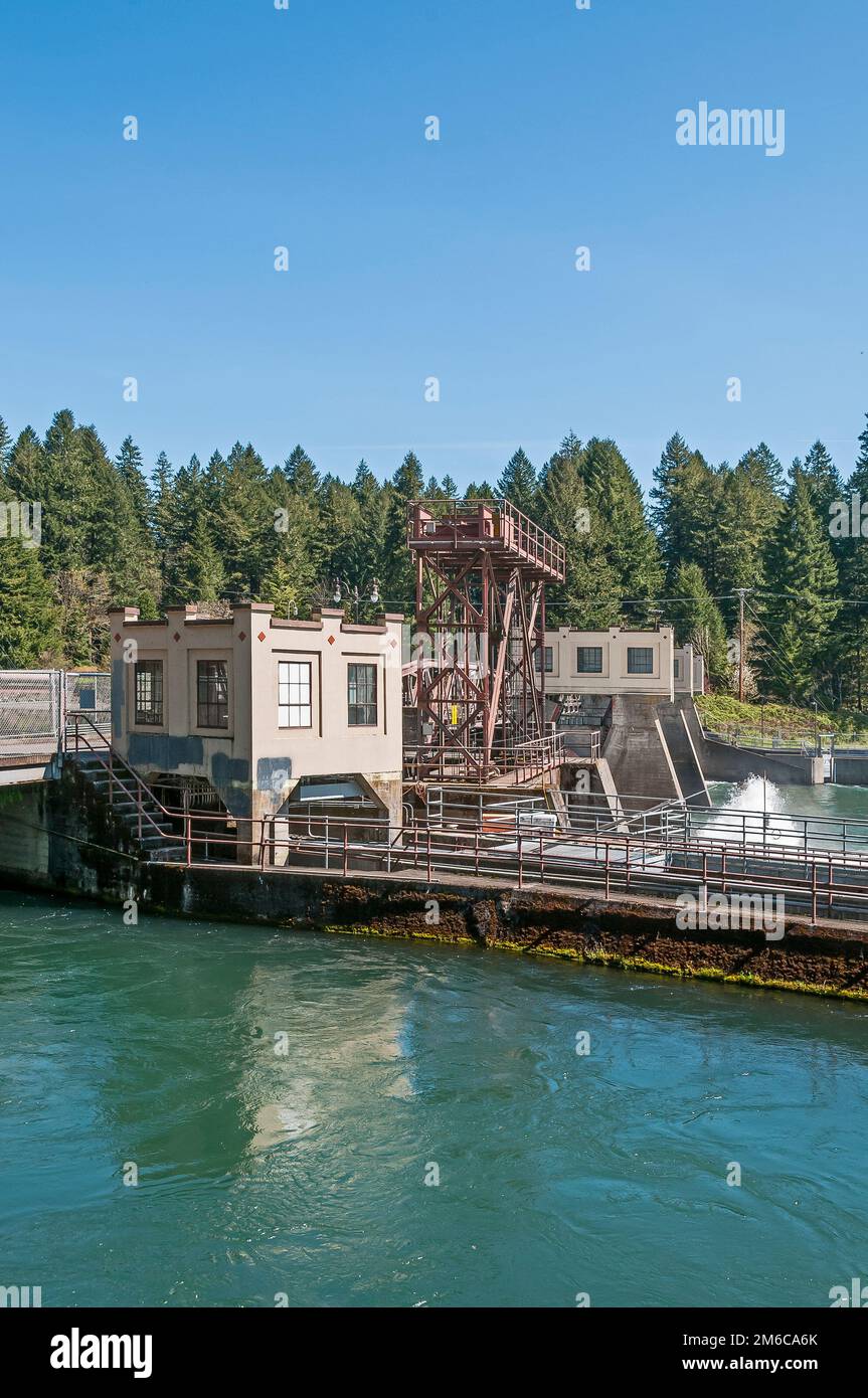 Diga di Leaburg e vivaio ittico a Vida vicino al ponte coperto vicino a Springfield, Oregon. Foto Stock