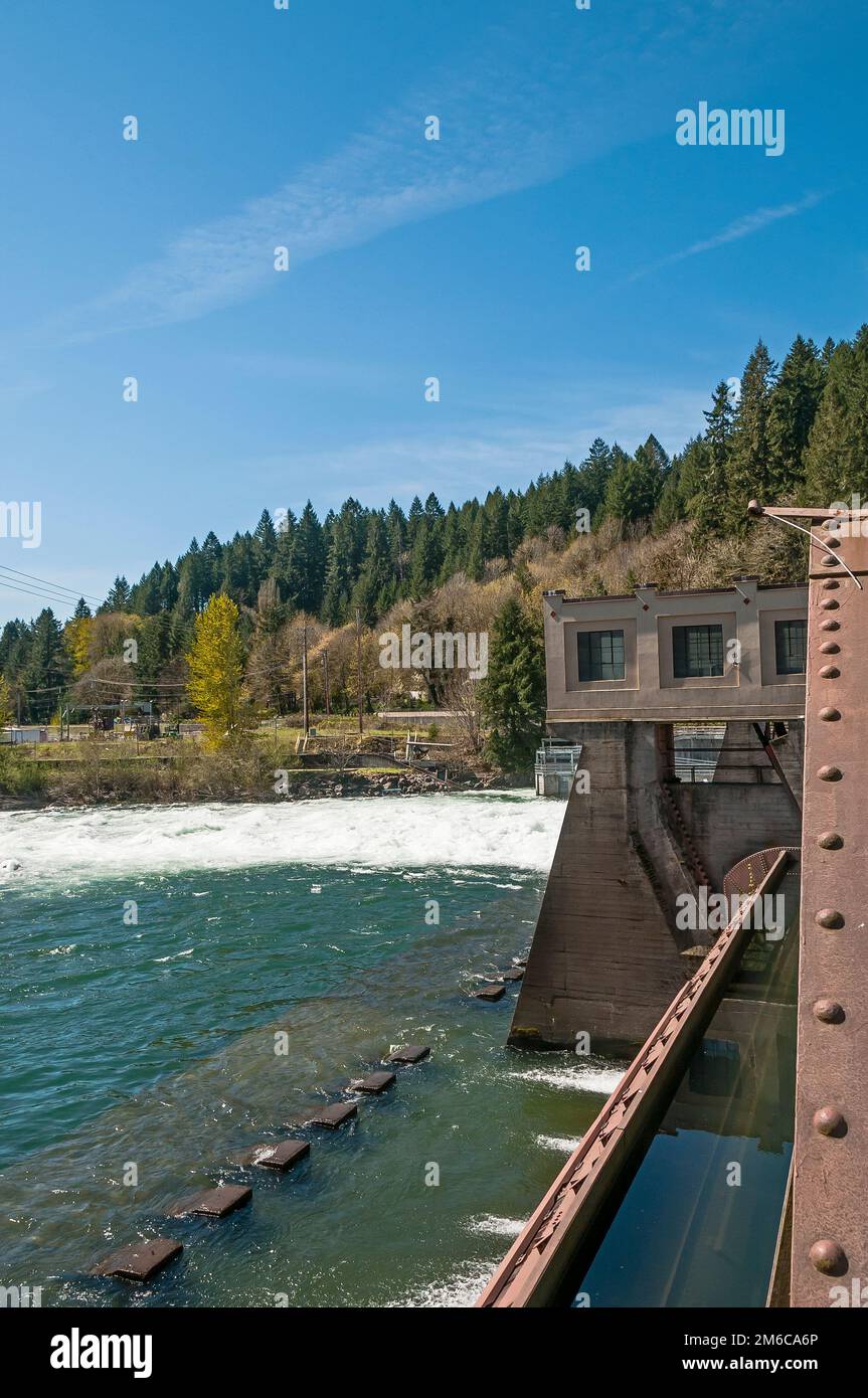 Diga di Leaburg e vivaio ittico a Vida vicino al ponte coperto vicino a Springfield, Oregon. Foto Stock
