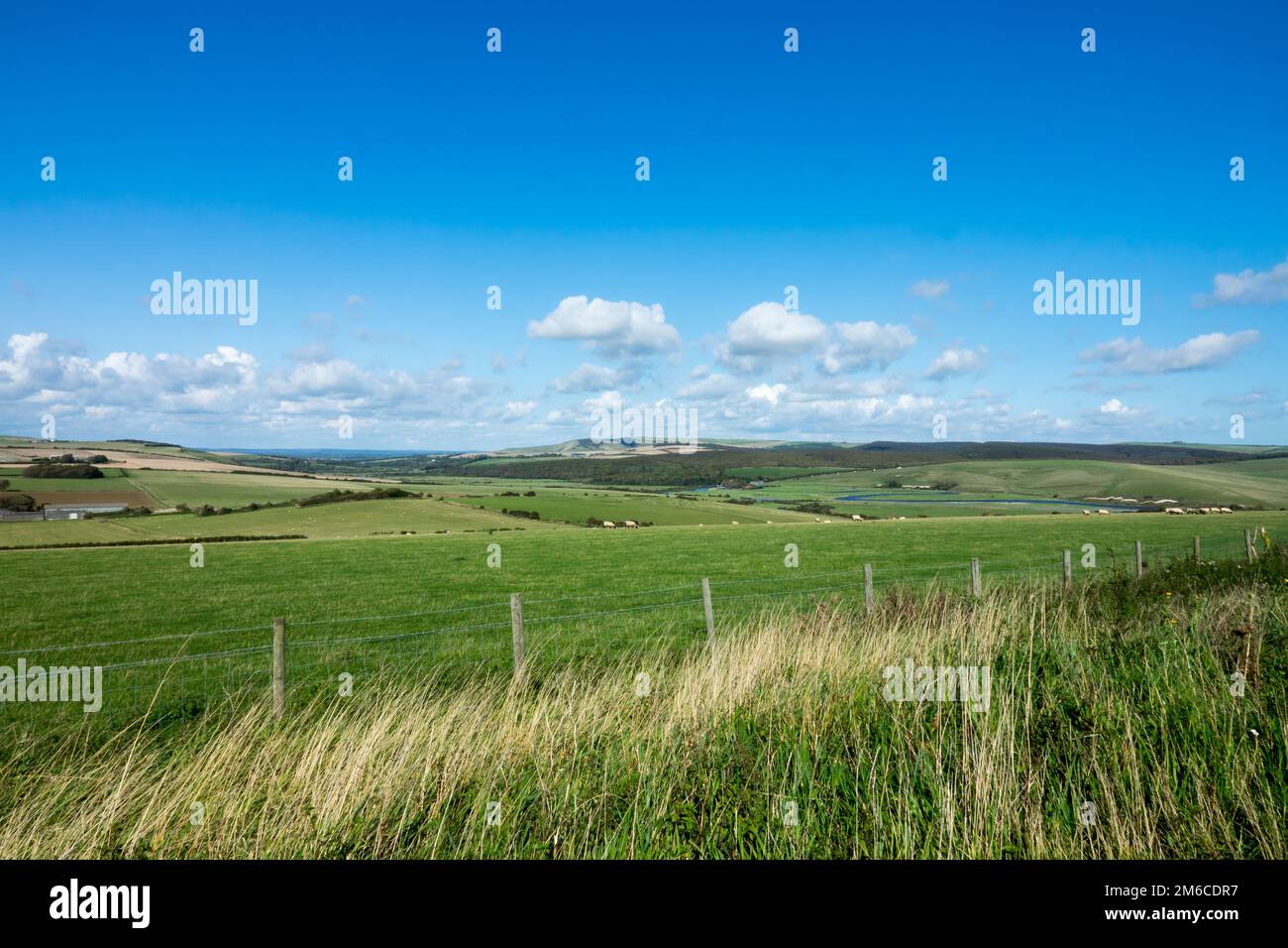 South Downs e Cuckmere Valley in Sussex Foto Stock