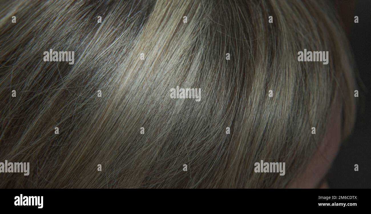 La struttura dei capelli precedentemente tinti prima della colorazione primo piano Foto Stock