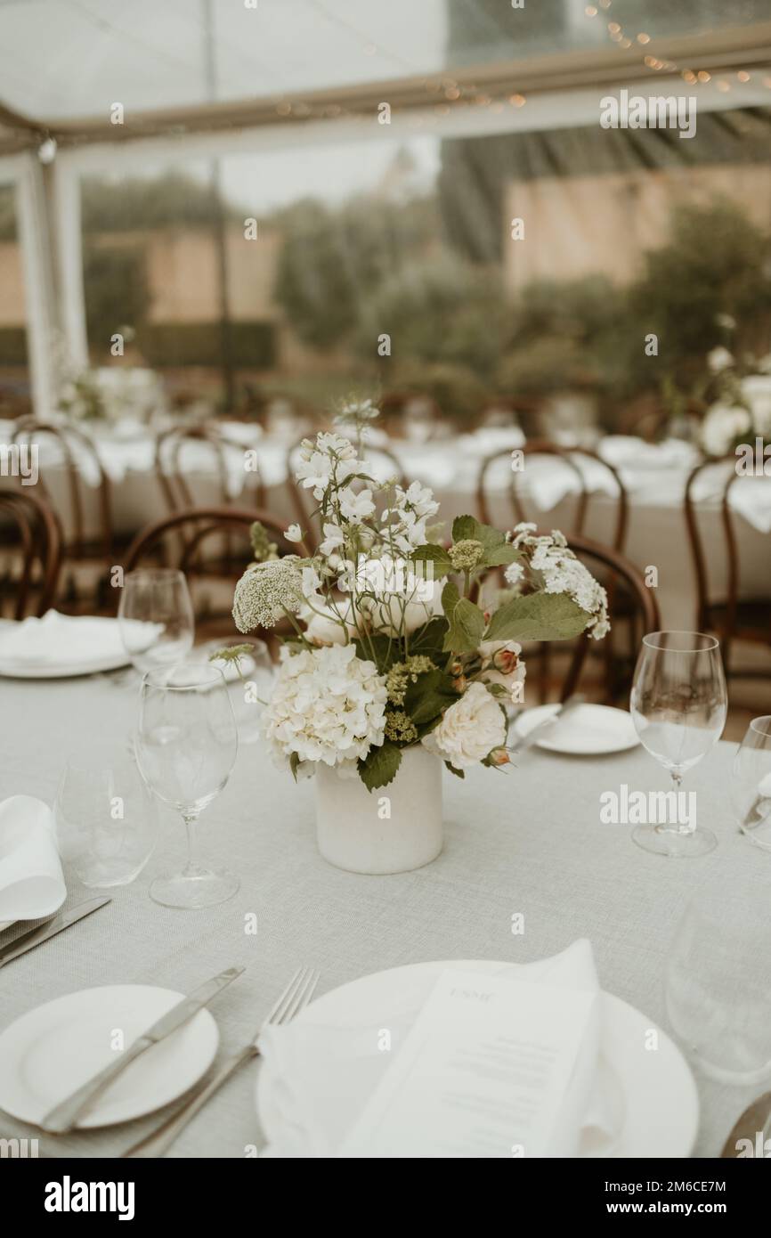 2023 decorazione per matrimoni con lunghi tavoli e verdi nativi australiani Foto Stock