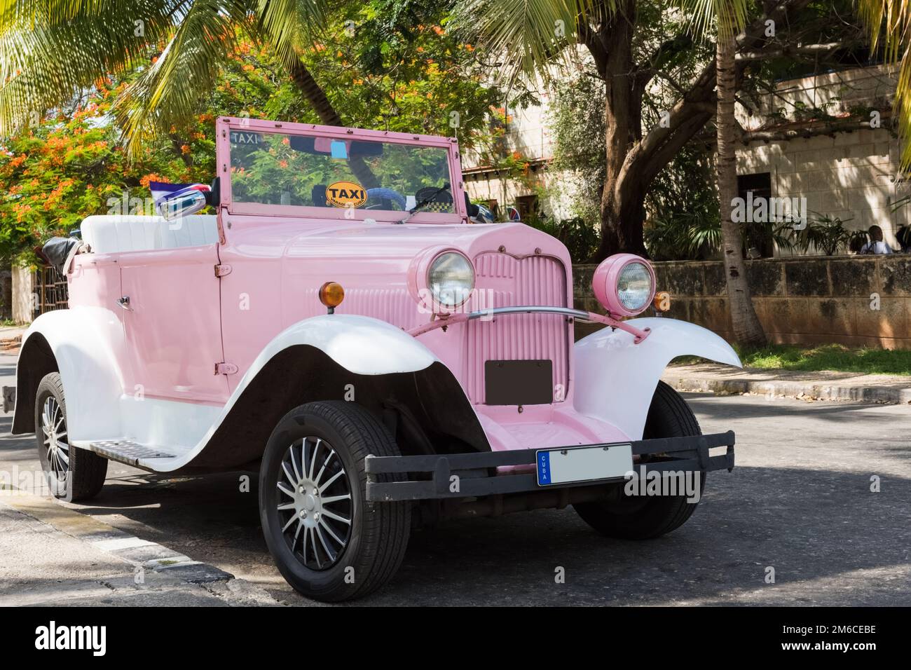 American Rose convertibile auto classica parcheggiata sotto le palme a Varadero Cuba - Serie Cuba Reportag Foto Stock