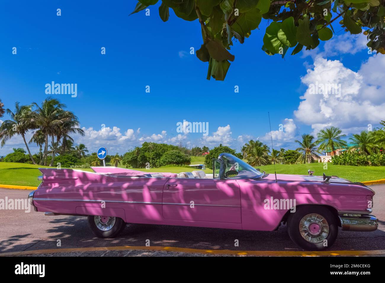 American pink Cabriolet auto classica parcheggiata sotto un albero a Varadero Cuba - Serie Cuba Repo Foto Stock