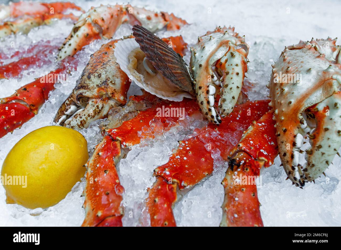 Pesce fresco nel mercato del pesce Foto Stock