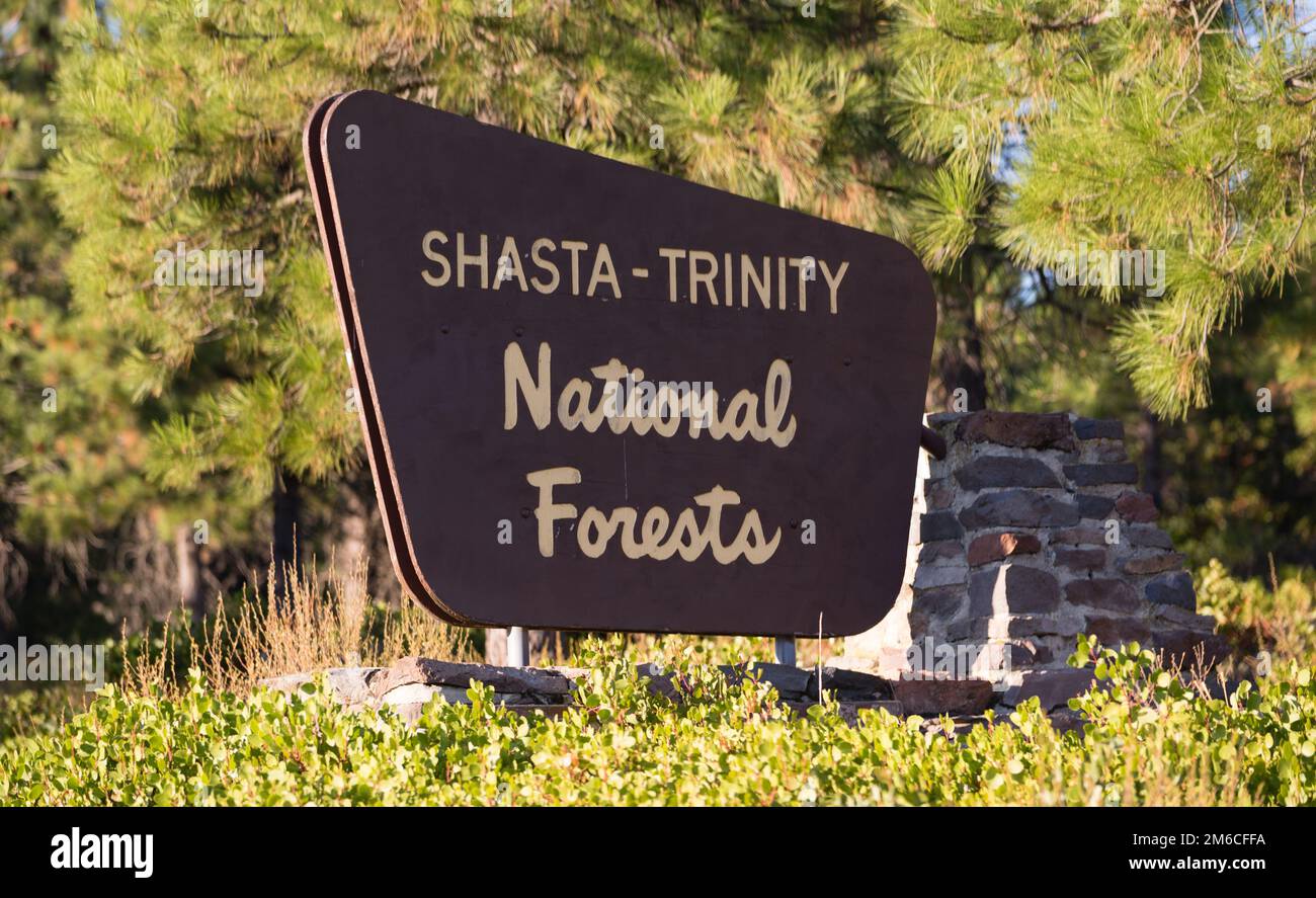 Cartello d'ingresso Shasta Trinity National Forest Boundary in California Foto Stock