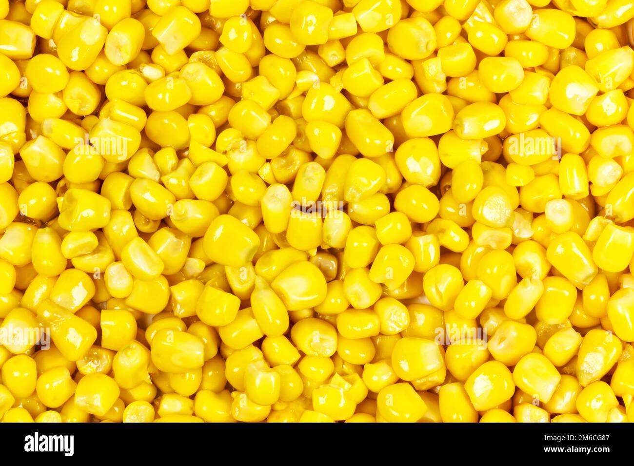 I chicchi di mais si chiudono sull'intera superficie dell'immagine Foto Stock