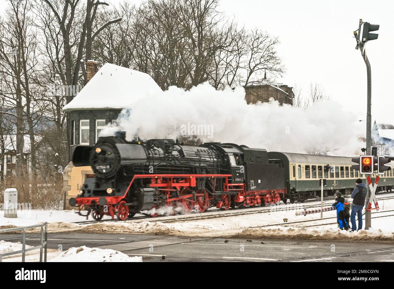 20 anni di 'Rodelblitz' Nostaglic-Train Foto Stock