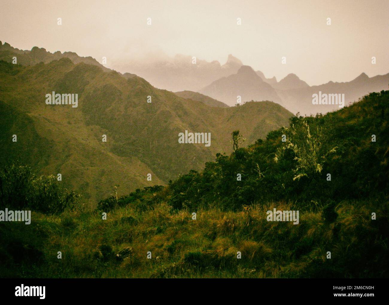 Le infinite Andes nella nebbia. Foto Stock