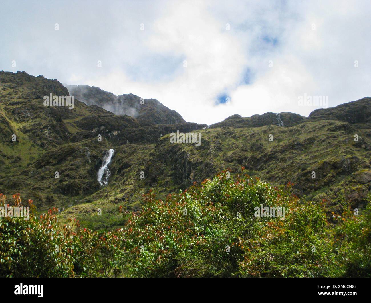 Fiori, cascata e natura in montagna Foto Stock