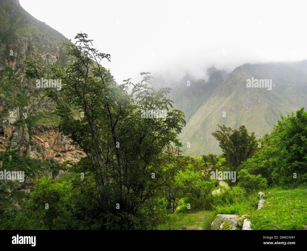 Natura delle montagne delle Ande. Foto Stock