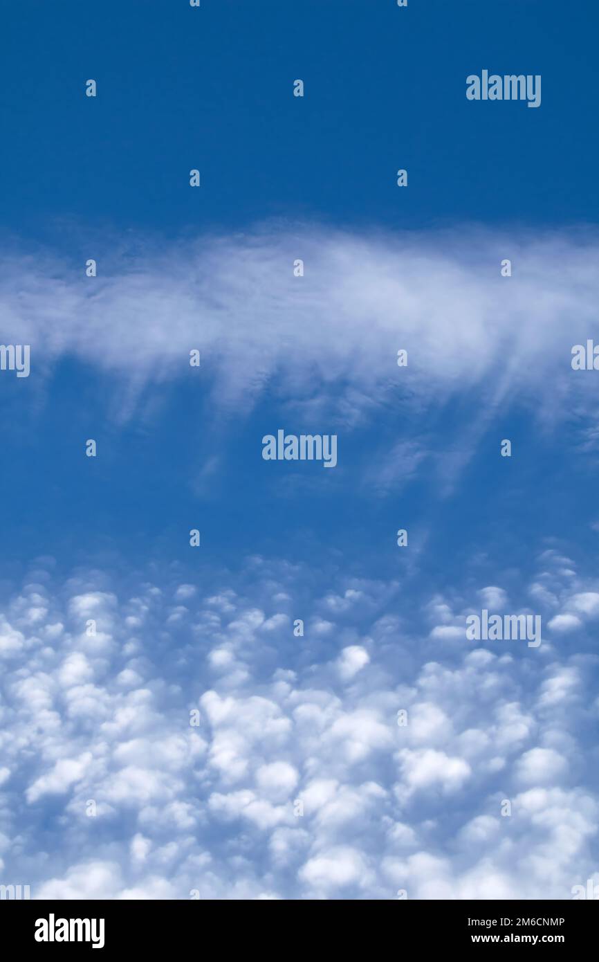 Ventresche e puffy Cirrocumulus nuvole contro il cielo blu. Orientamento verticale. Foto Stock