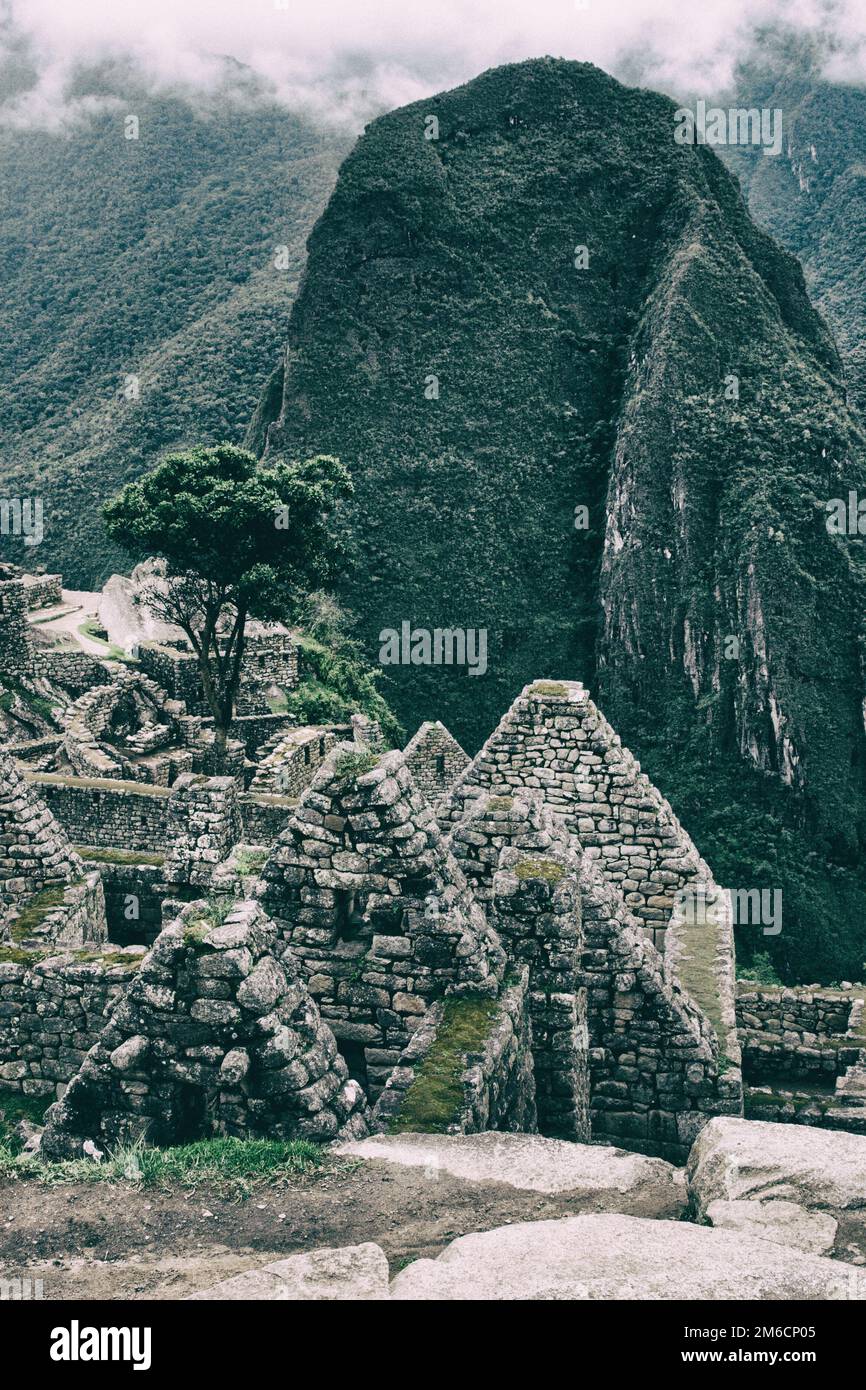 Architettura Inca particolare e la natura. Foto Stock