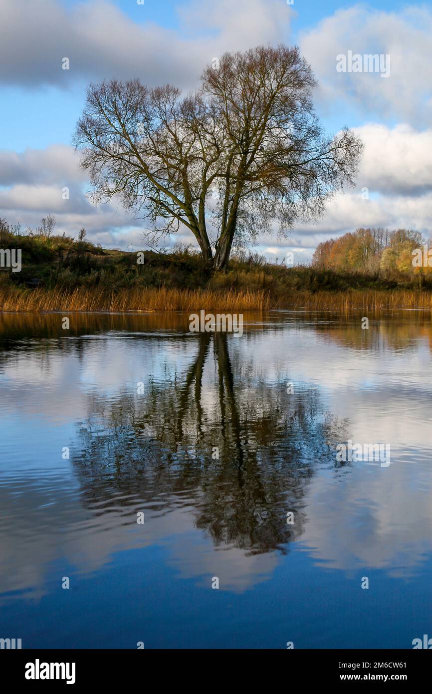 Paesaggio autunnale con alberi colorati, erba gialla e fiume. Riflessione nel fiume Foto Stock Paesaggio autunnale con alberi colorati, erba gialla e fiume. Riflessione nel fiume Foto Stock