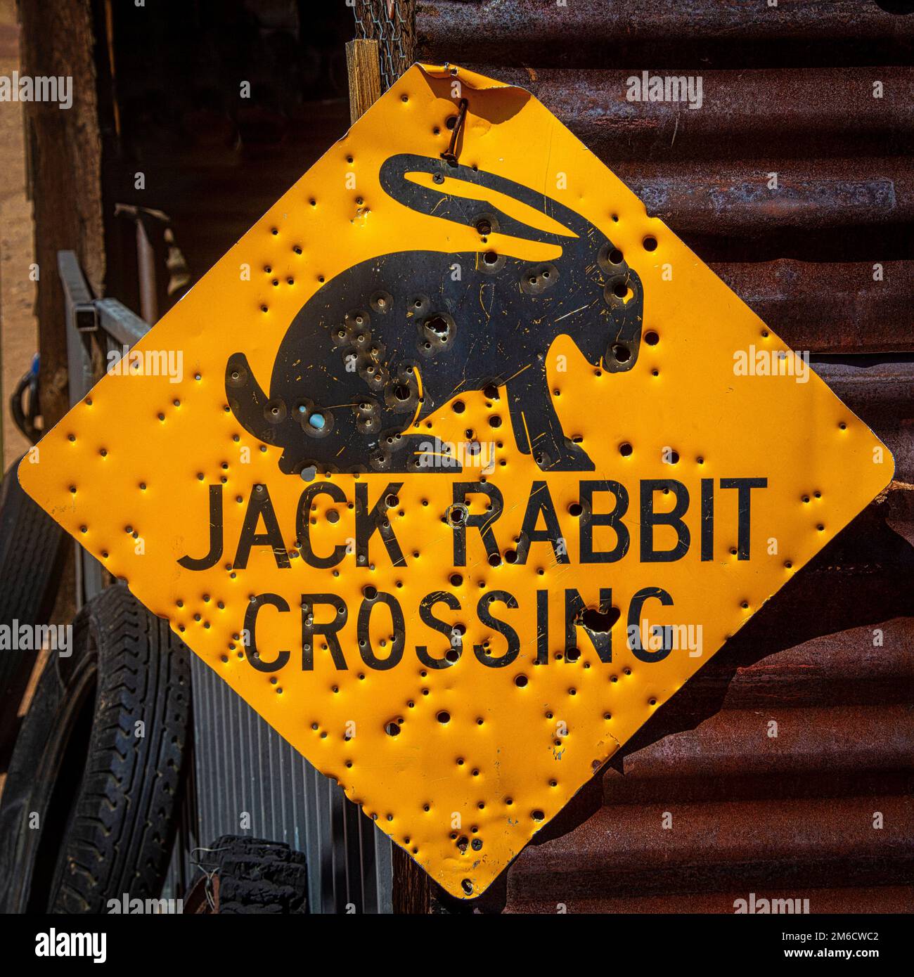 Jack Rabbit Crossing Sign Shot pieno di buche Foto Stock
