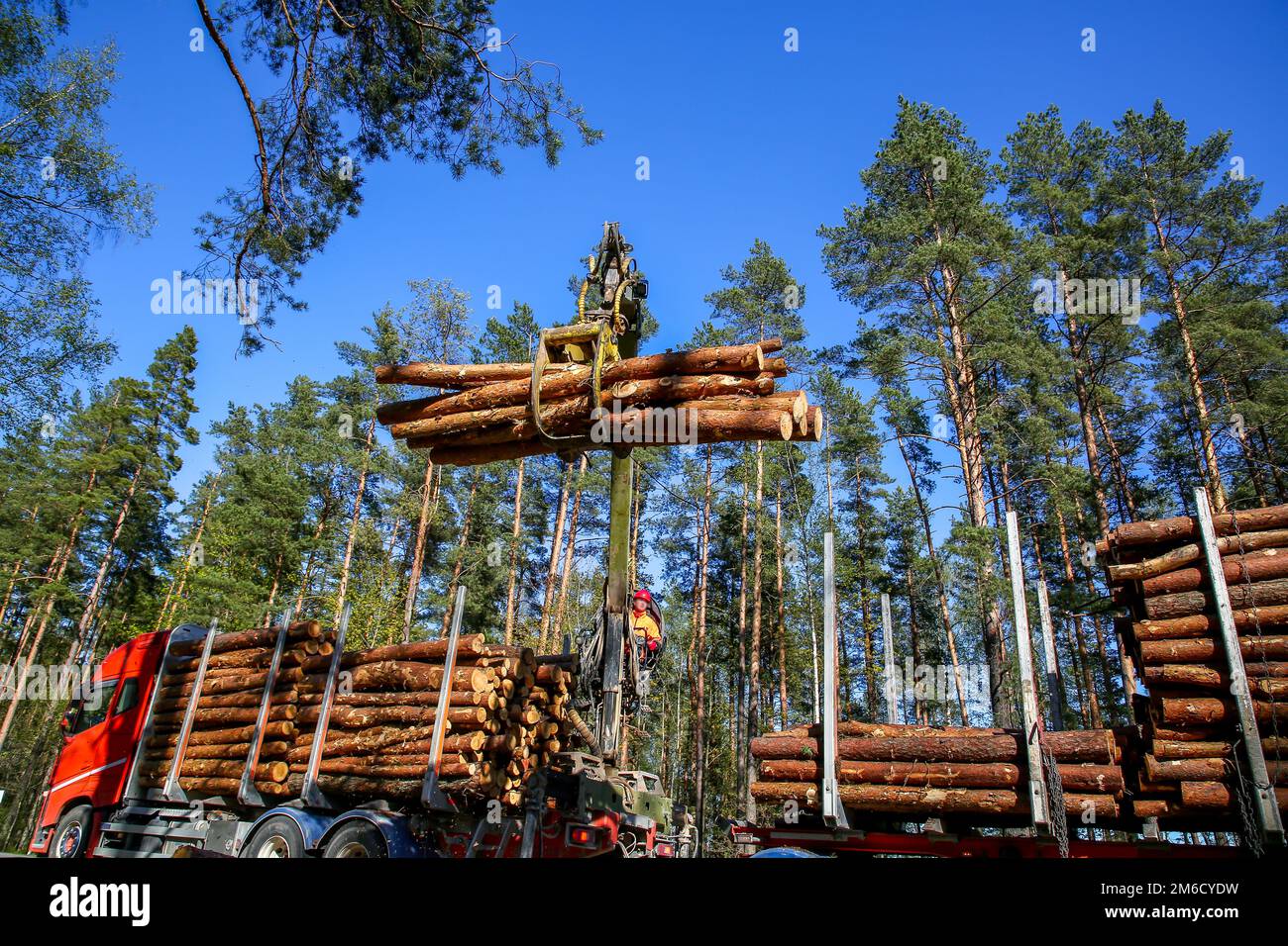 Log di caricamento gru nel carrello. Foto Stock