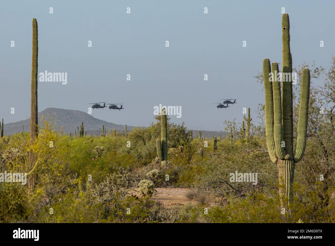 Quattro elicotteri UH-60 Black Hawk con il battaglione dell'elicottero Assault 2nd, il reggimento dell'aviazione 285th trasportano Ariz. Soldati della Guardia Nazionale dell'esercito con 1st battaglione, 158th reggimento di fanteria nella loro zona di atterraggio (LZ) durante l'assalto aereo e l'addestramento di fanteria presso la Riserva militare di Firenze, a Firenze, Ariz., 23 aprile 2022. Soldati provenienti da diverse origini e comunità si riuniscono per formare e rafforzare le competenze che si trasferiranno in scenari reali Foto Stock