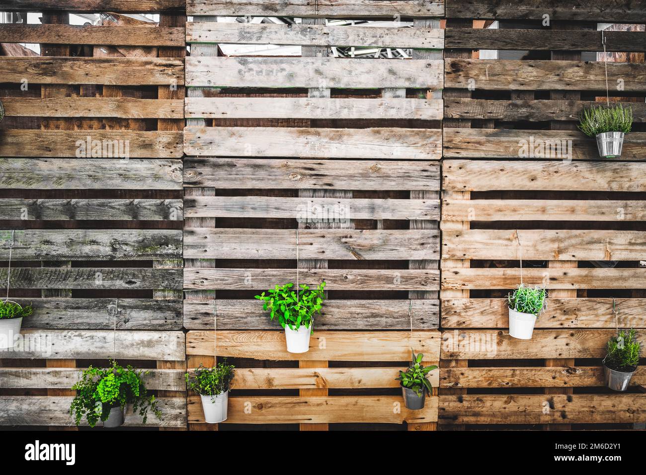 Grunge texture copia spazio verde pollice pallet sfondo legno Foto Stock
