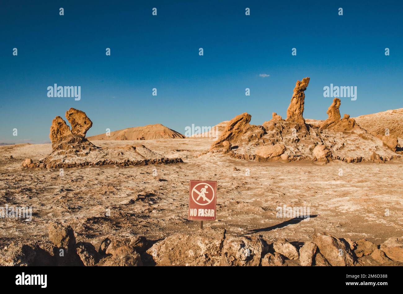 Belle sculture di sale nel deserto di Atacama, Cile Foto Stock