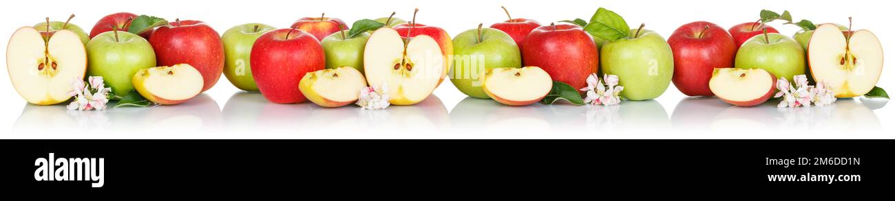 Mele frutta rossa e verde mela banner frutta isolato su bianco in una fila Foto Stock