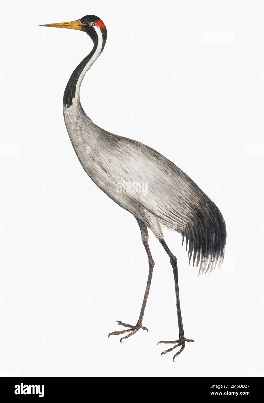 Illustrazione di una gru a lunghezza intera vintage Illustrazione Vettoriale