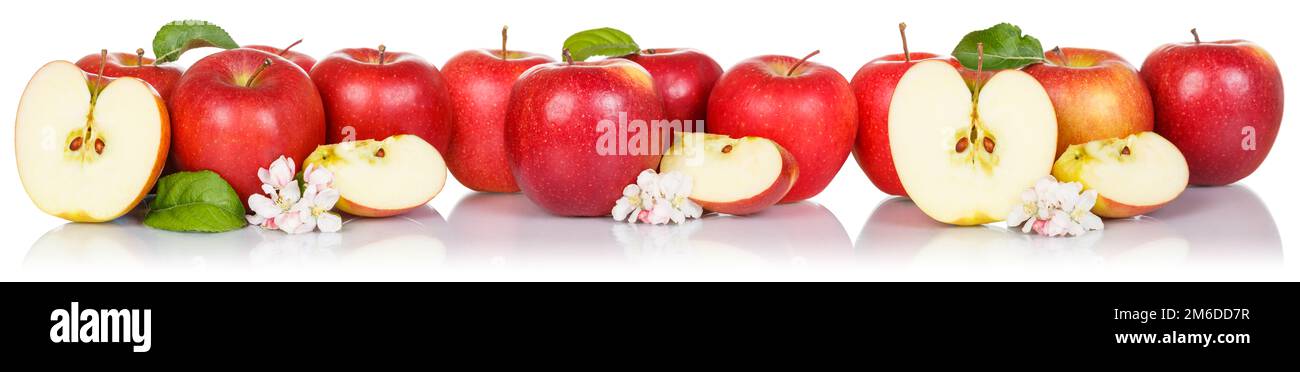 Mela rossa frutta mele frutta isolato su bianco in una fila Foto Stock