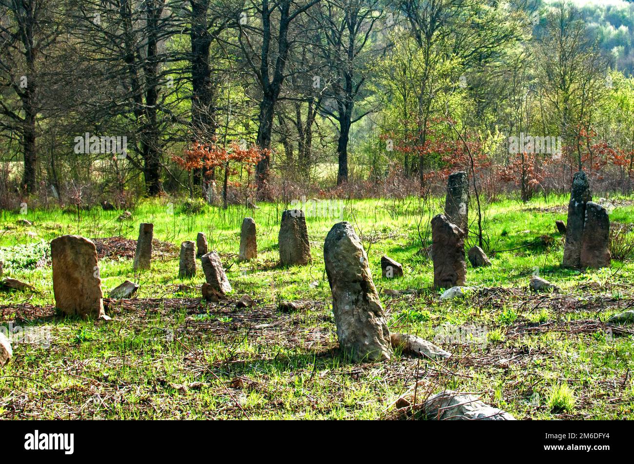 Scena di vecchio abbandonato cimitero musulmano di lapidi in campo di campagna Foto Stock