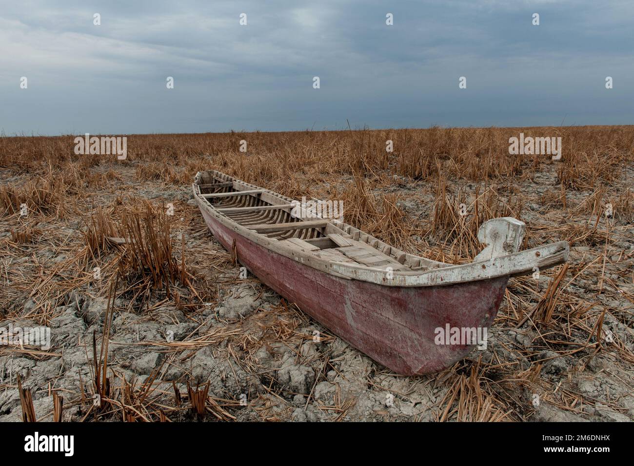 Siccità nell'Iraq meridionale Foto Stock