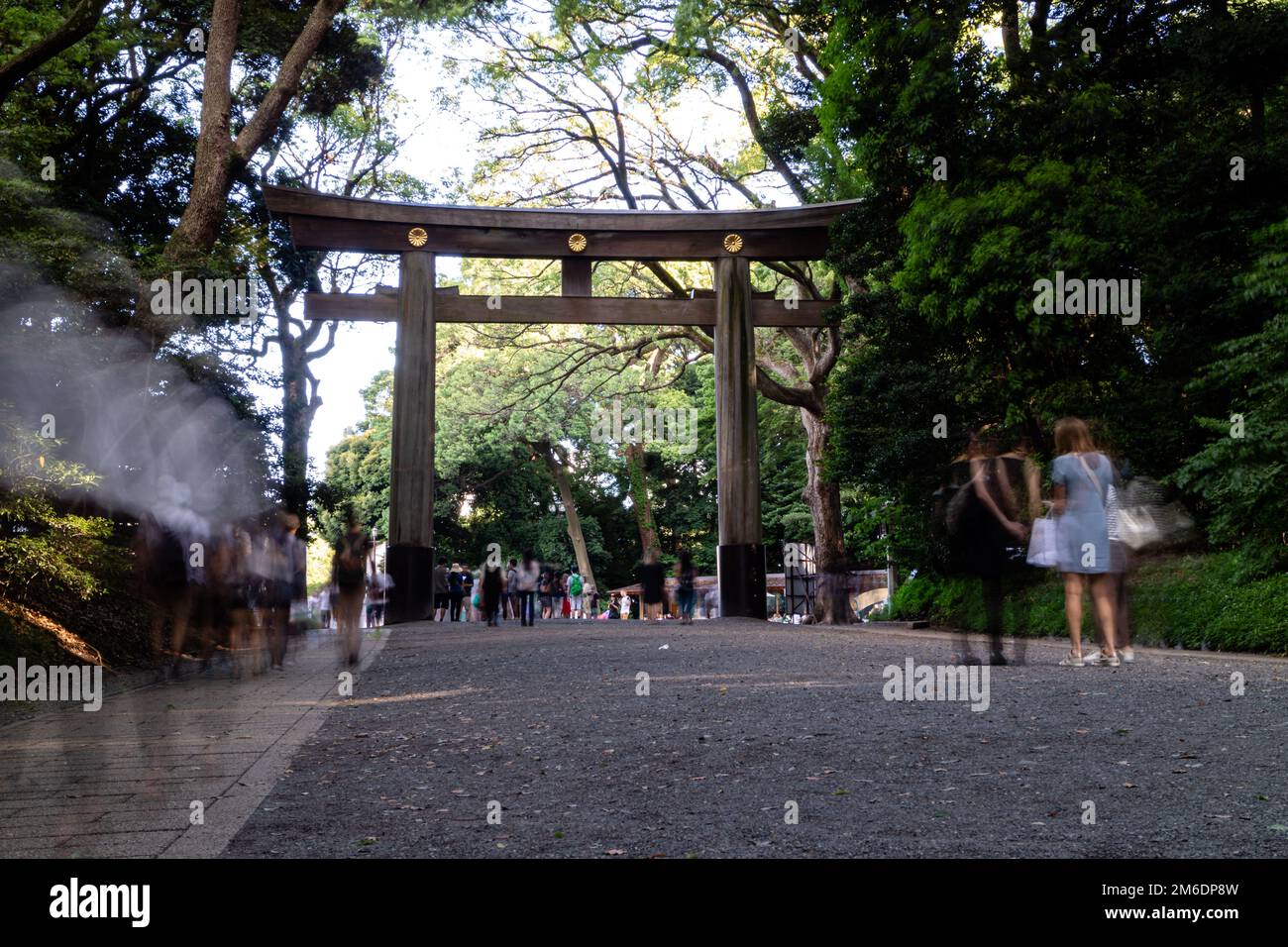 Persone che camminano attraverso il Santuario Meiji Jingu durante il giorno Foto Stock